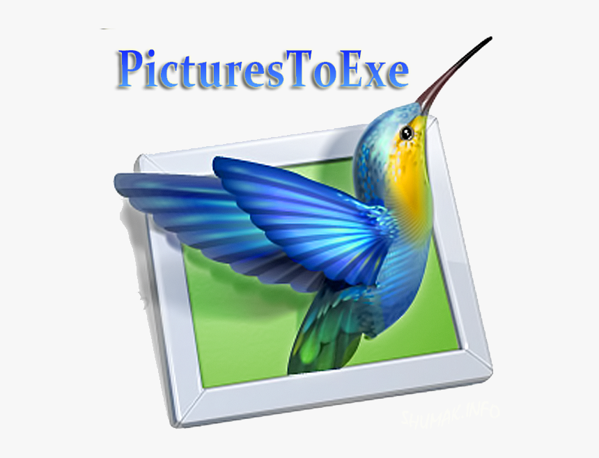 Picturestoexe Av Studio 10, HD Png Download