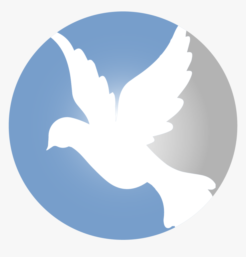 Peace Pigeon Png, Transparent Png
