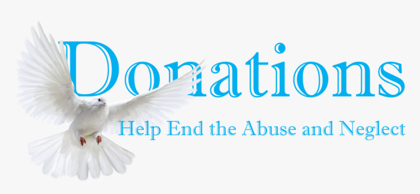 Gram Shoes, HD Png Download