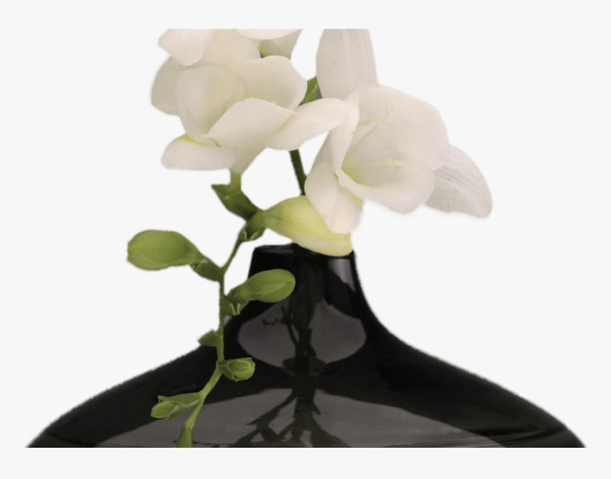 Png Hd Vase Of Flowers Transparent Hd Vase Of Flowerspng - Black Vase With Flowers, Png Download