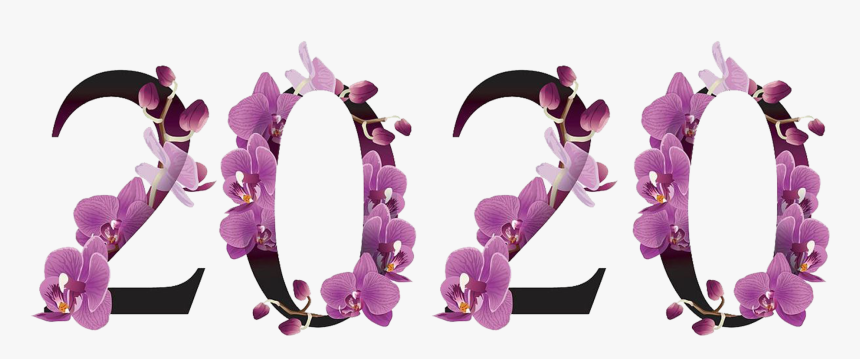 2020 Number Png Pic Background - Scorpion, Transparent Png