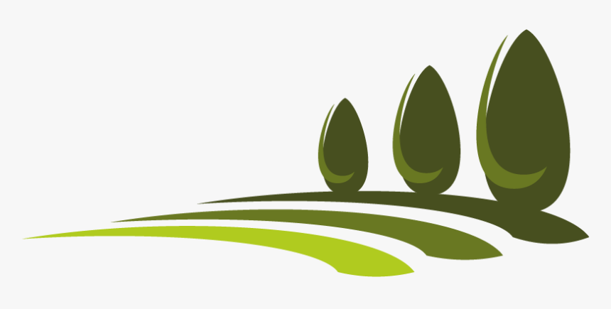 What Is Lawn And Types Of Lawn - Vector Graphics, HD Png Download