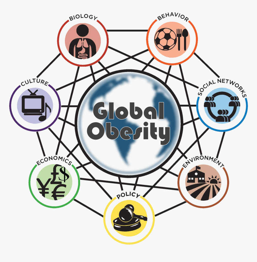 Global Obesity New Wheel - Circle, HD Png Download