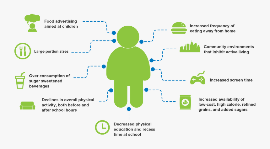 Childhood Obesity Factors, HD Png Download