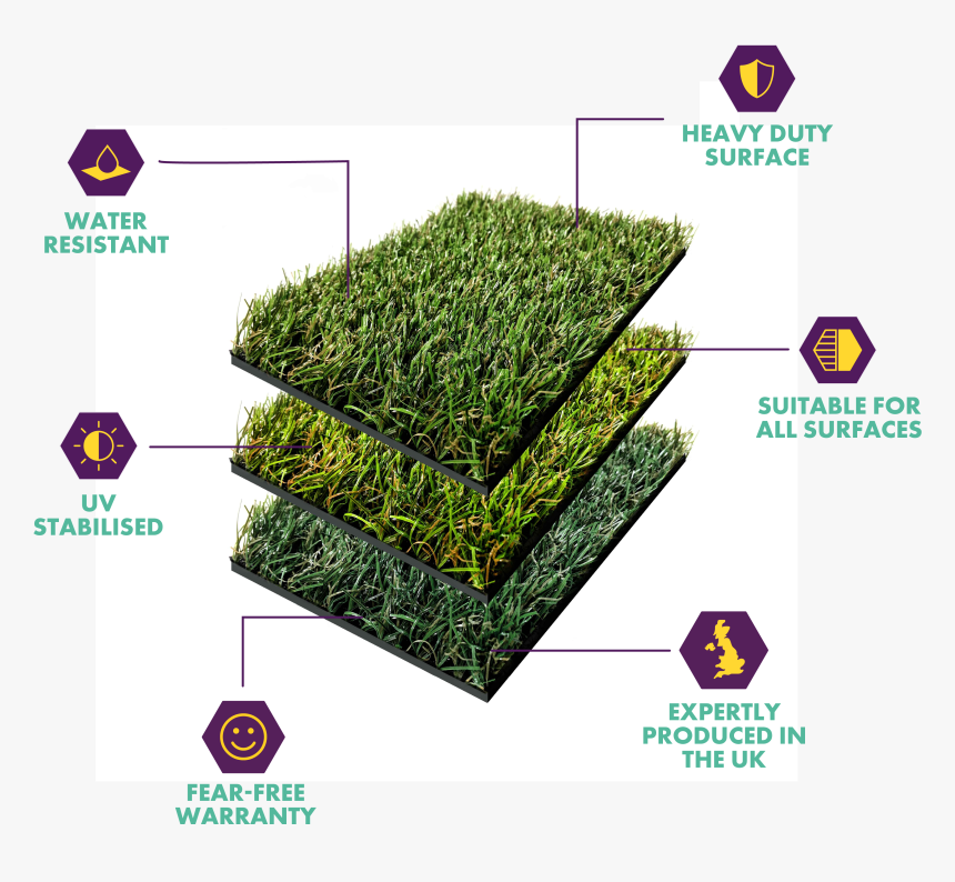 Hedge, HD Png Download