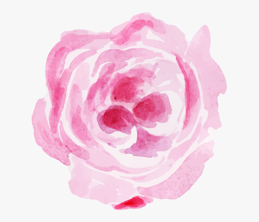 Garden Roses, HD Png Download