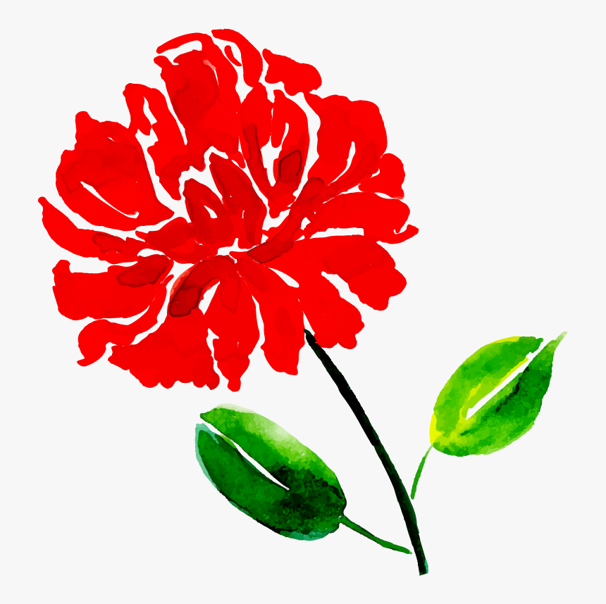 Common Peony, HD Png Download