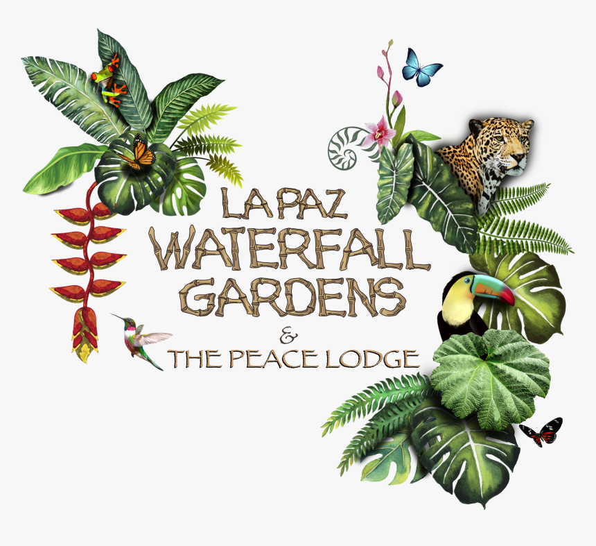 Illustration, HD Png Download