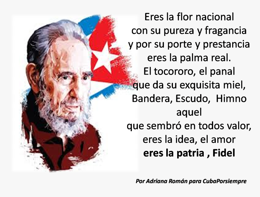 Por Adriana Román* - Fidel Castro Wallpaper Hd, HD Png Download