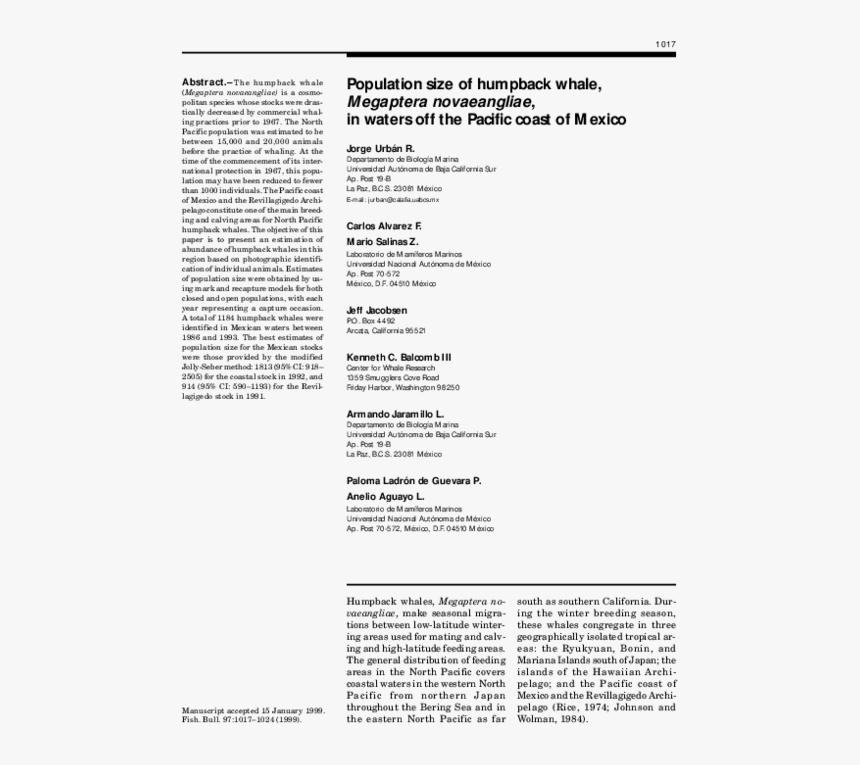 Document, HD Png Download