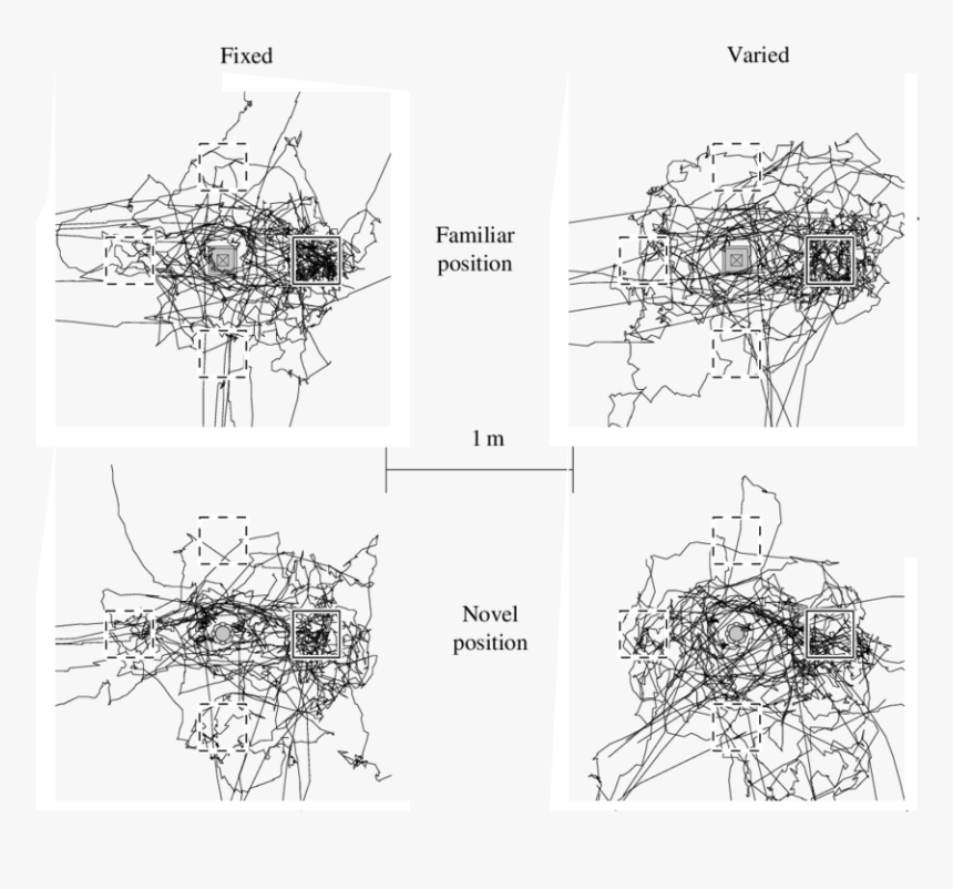 Technical Drawing, HD Png Download
