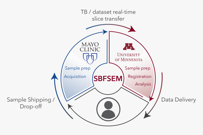 External) Are Excited To Offer Minnesota Researchers - University Of Minnesota, HD Png Download