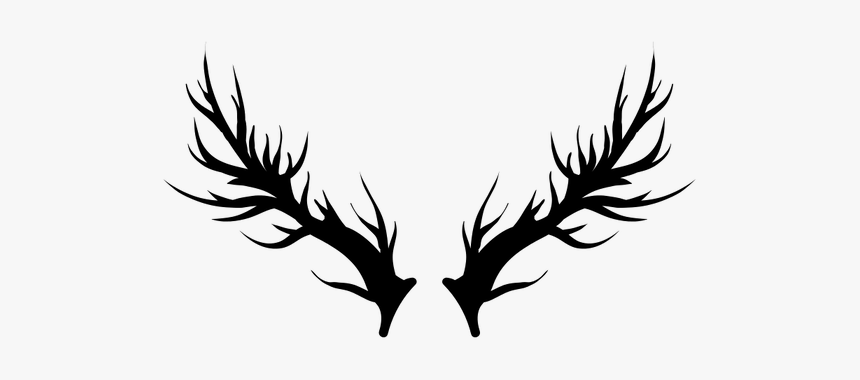 Vector Graphics, HD Png Download