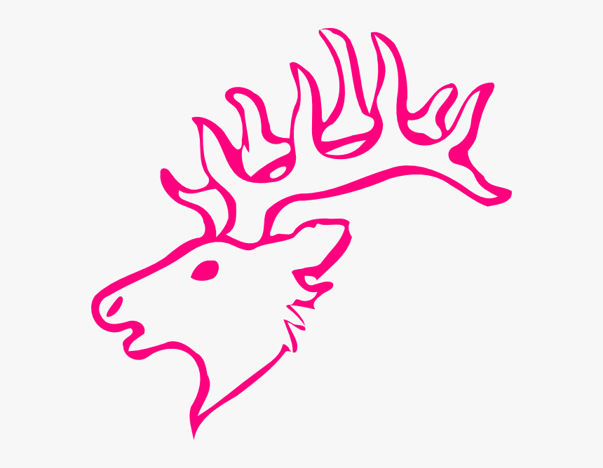 Cool Easy Drawing Of A Deer, HD Png Download