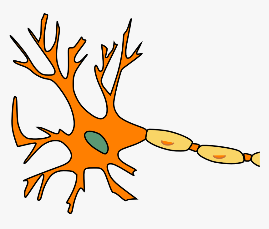 Multiple Sclerosis No Background, HD Png Download