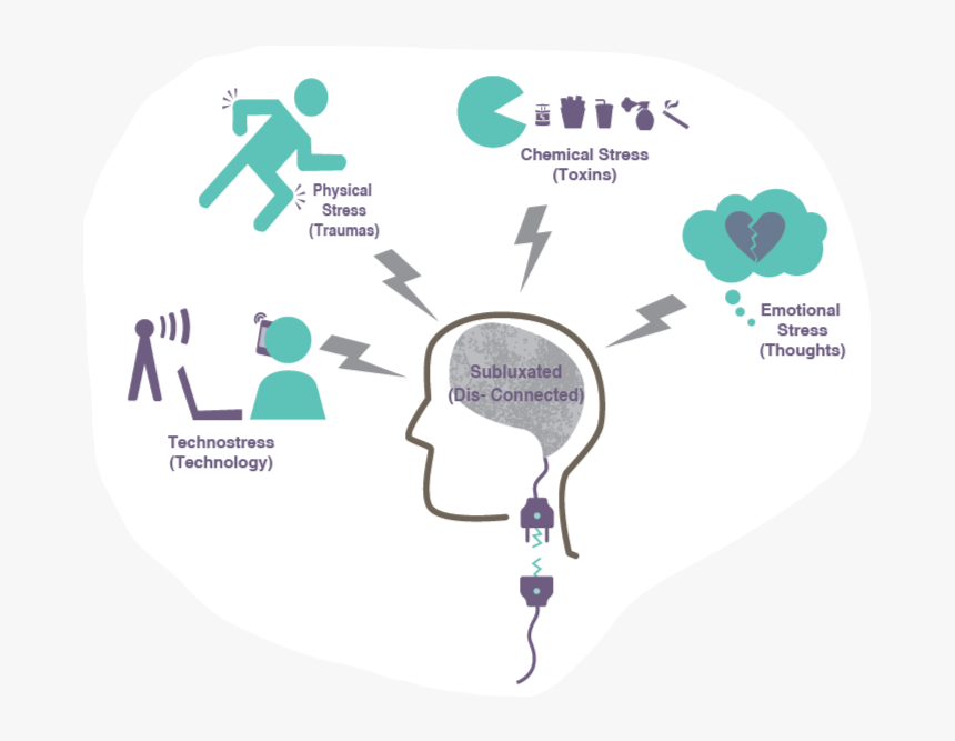 The Four Things That Make Your Brain Feel Nervous, HD Png Download