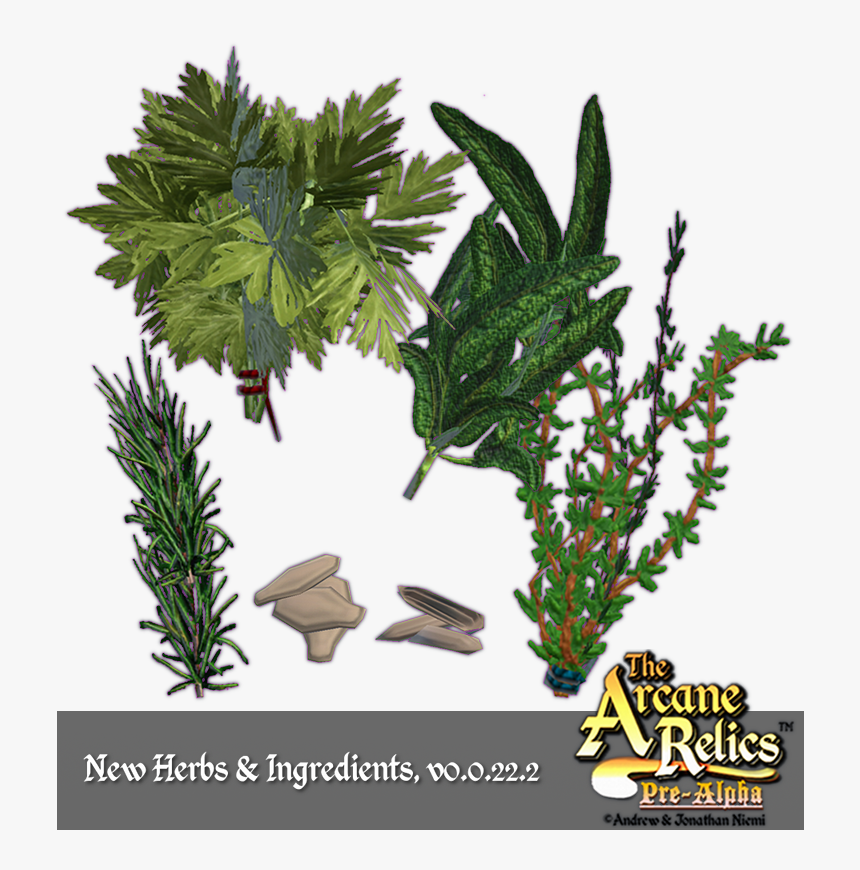 Appendicula, HD Png Download