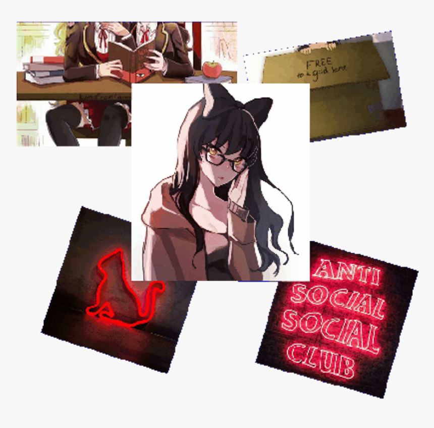 Freetoedit Rwby Blakebelladonna Neko Nekogirl Anime - Blake Belladonna, HD Png Download