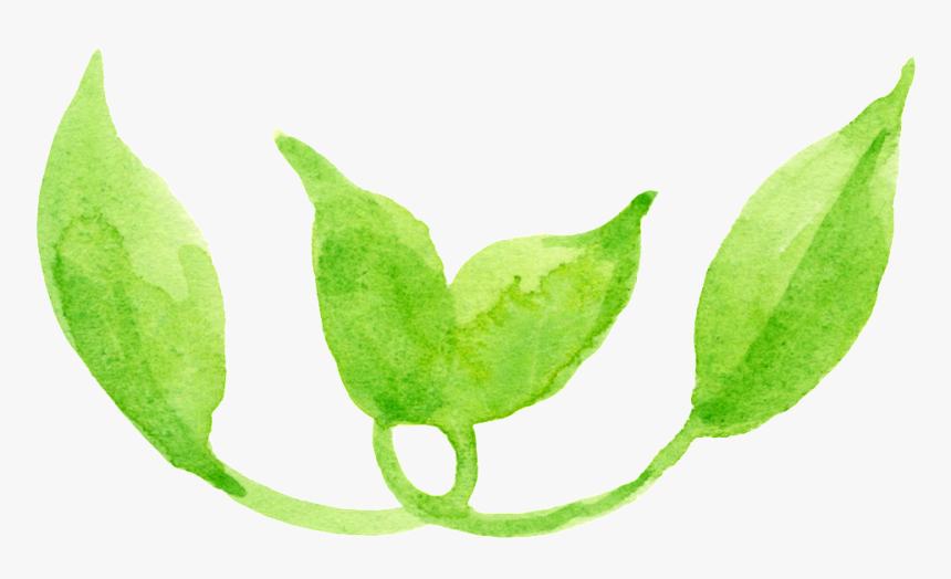 Dibujos Animados De Png Transparente Hoja De Serpentina - Maple, Png Download