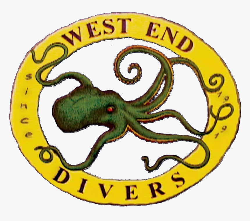 Imageedit 1 - Cartoon, HD Png Download