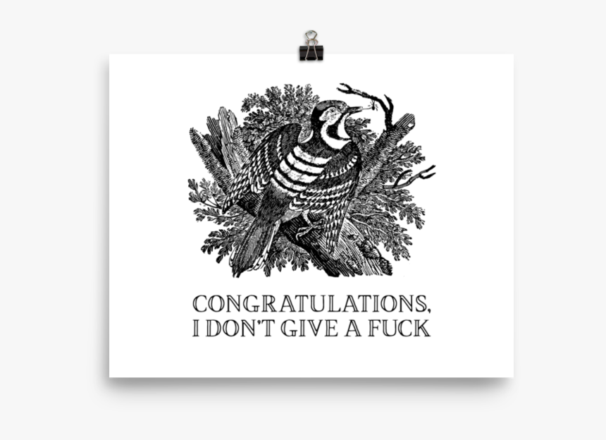 Congratulations, I Don T Give A Fuck Poster 
 Srcset - Thomas Bewick, HD Png Download