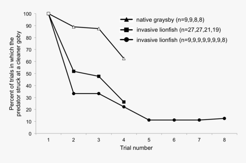 Plot, HD Png Download