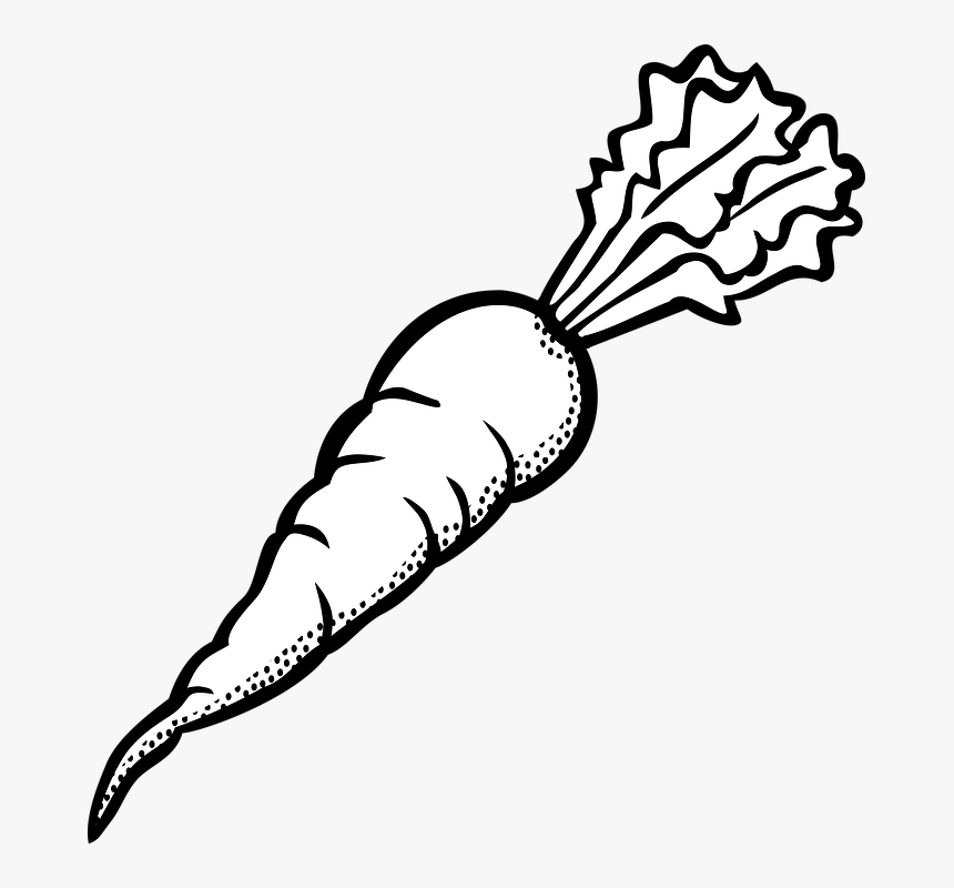 Outline Picture Of Carrot, HD Png Download , Transparent Png Image
