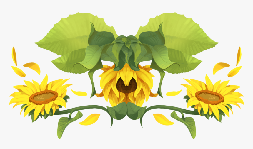 Sunflower, HD Png Download
