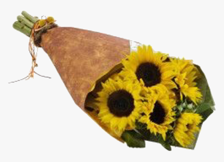 Sunflower, HD Png Download