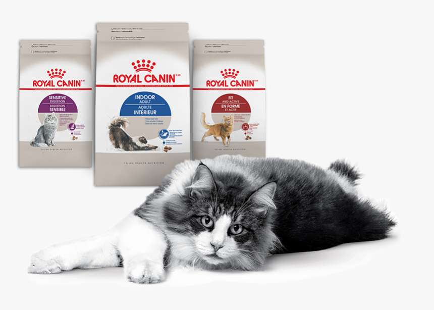 Nielsen Through Scantrack Service For The Cat Food - Royal Canin, HD Png Download
