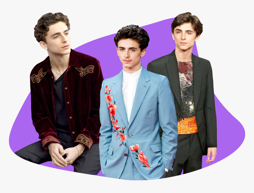 Photo Composite Of Timothee Chalamet In Colorful Blazers - Timothée Chalamet, HD Png Download