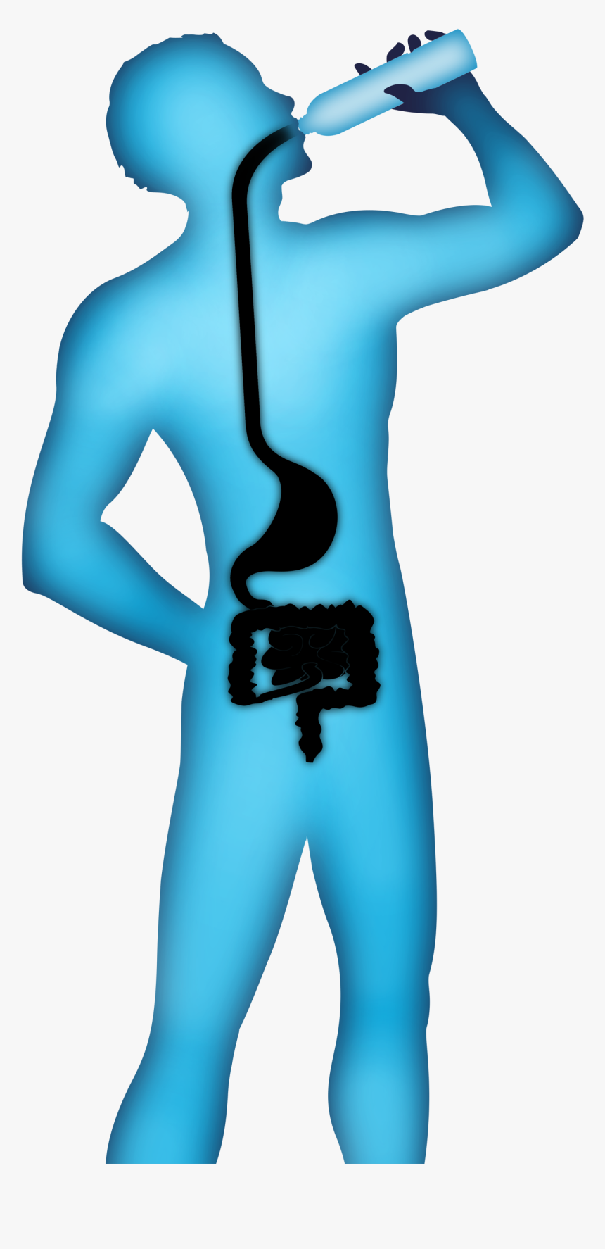 Drinking Cartoon Illustration - Human Body Drinking Water Png, Transparent Png