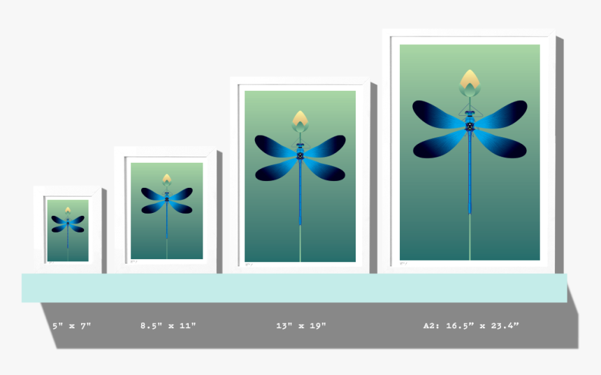 Rkr Sizes Dragonfly - Graphic Design, HD Png Download