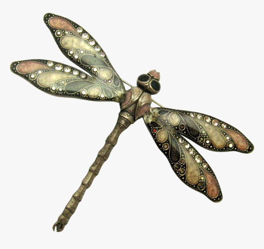 Dragonfly Transparent Vintage - France Dragonfly, HD Png Download