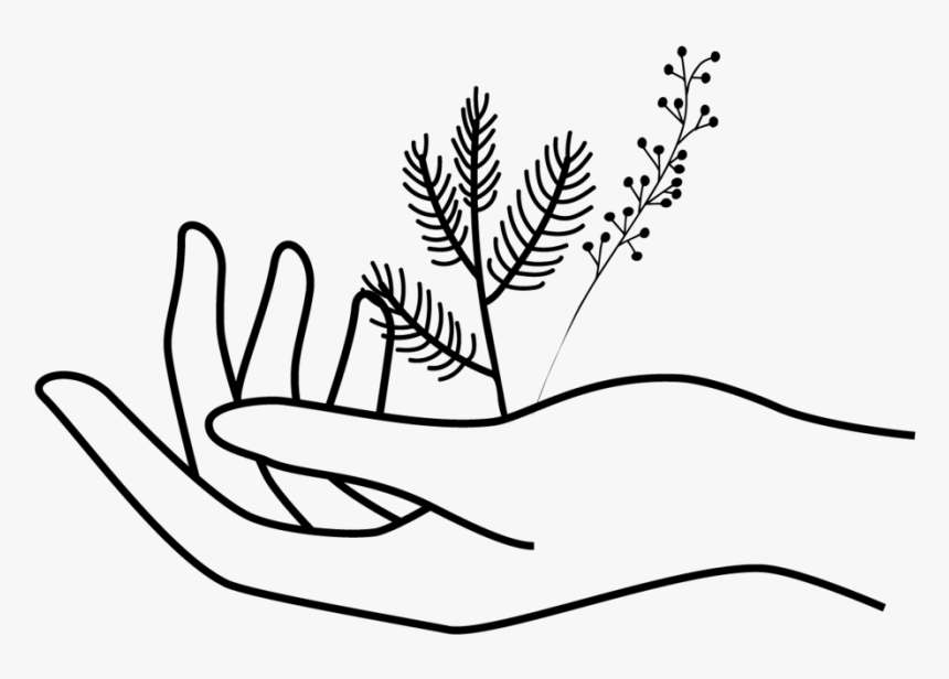 Line Art, HD Png Download