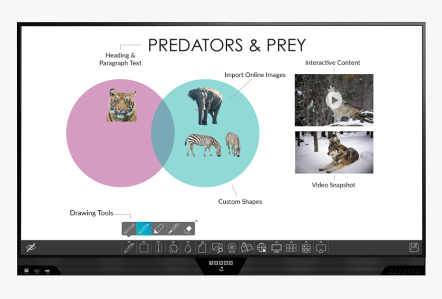 Tango Teach Interactive Display 65 

 
 Data Rimg Lazy - Koala, HD Png Download