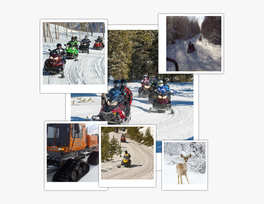 Picture - Snow, HD Png Download