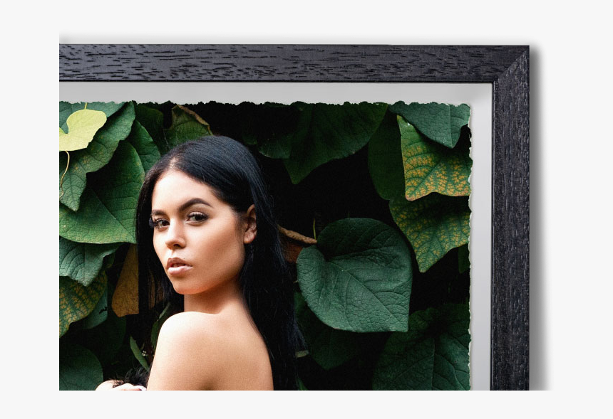 Black Box Frame - Gold, HD Png Download