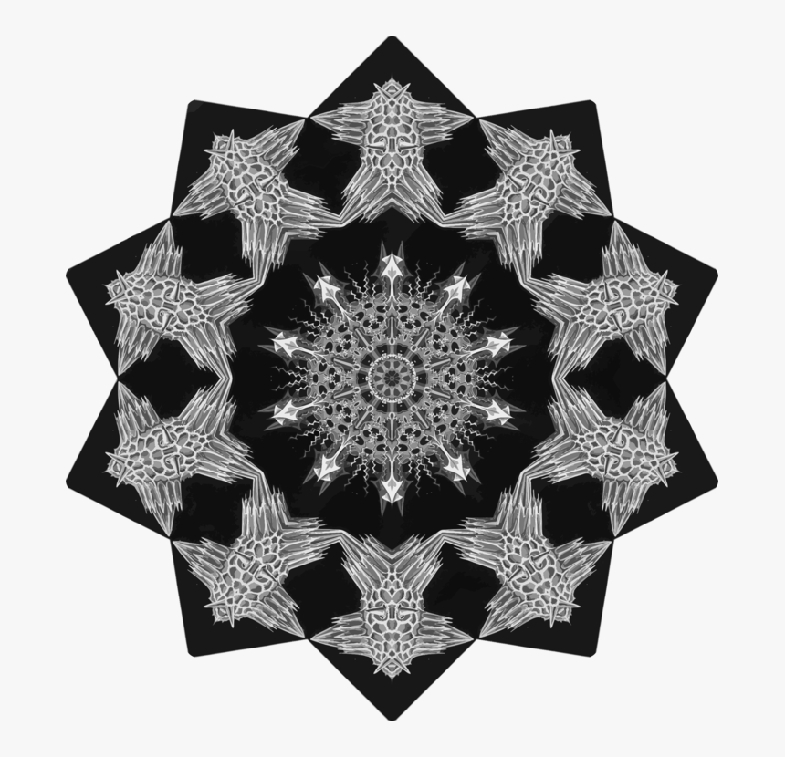 Visual Arts,lace,symmetry - Circle, HD Png Download
