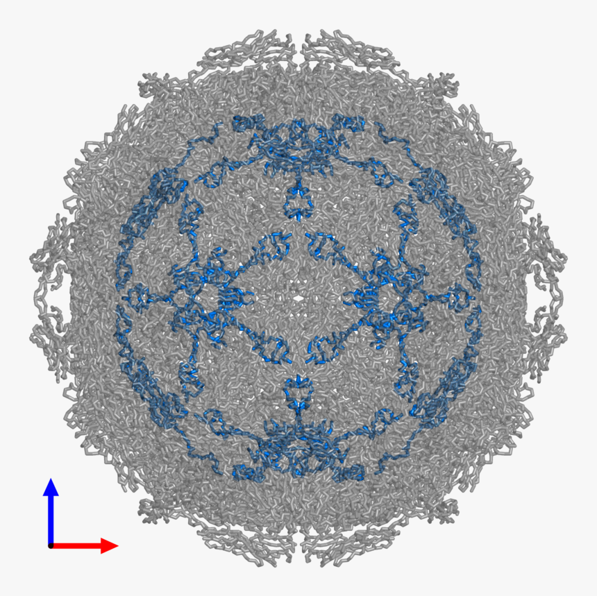 Circle, HD Png Download