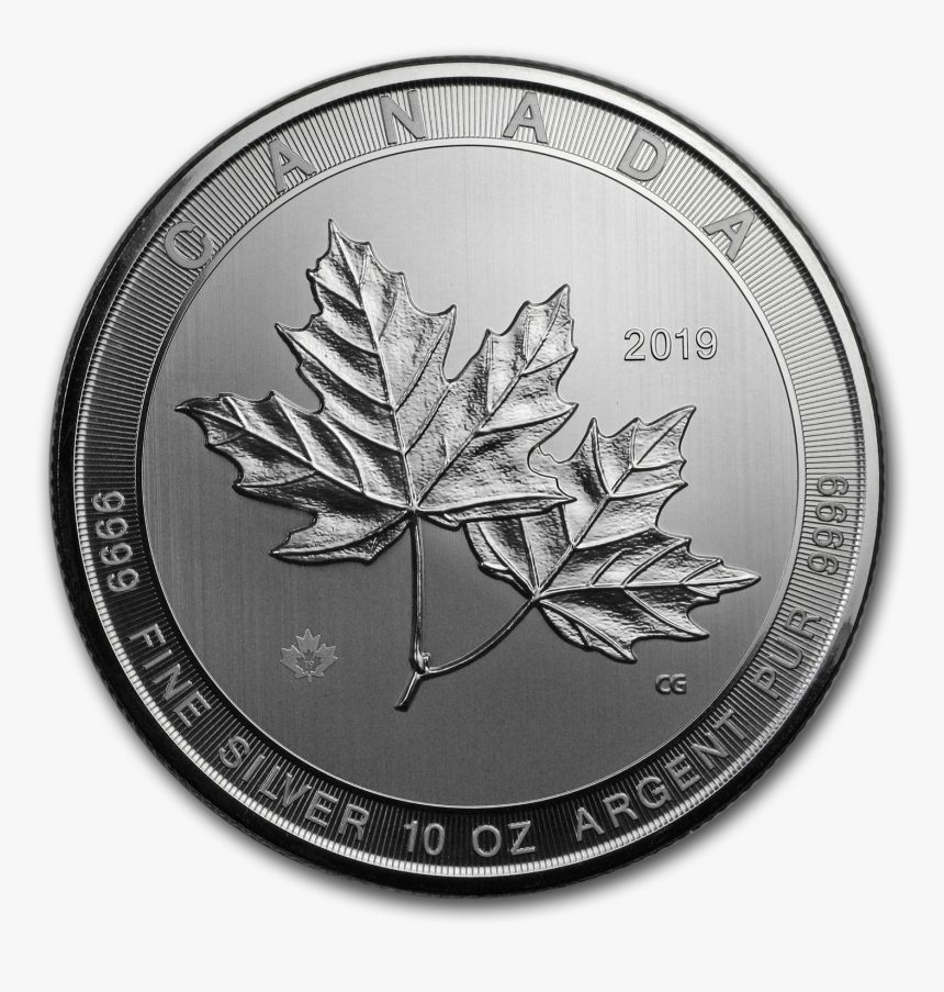 Kookaburra 2016 10 Oz, HD Png Download