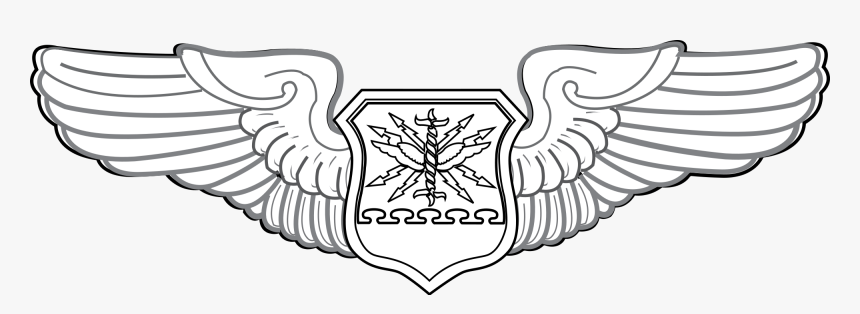 Wing Svg Air Force Air Force Cso Badge Hd Png Download Transparent Png Image Pngitem