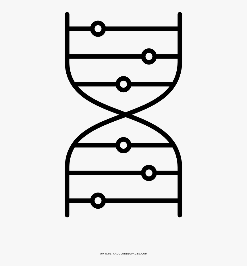 Dna Helix Coloring Page, HD Png Download