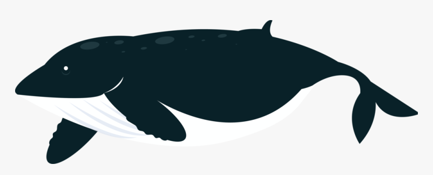 Clipart Ocean Land Ocean, HD Png Download