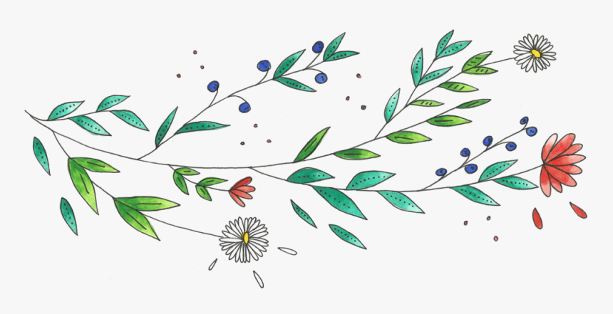 Image00001, HD Png Download