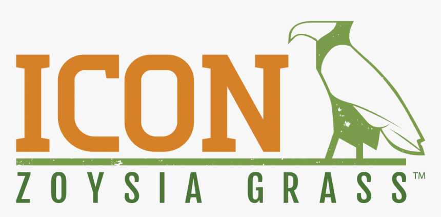 Icon Zoysia Grass - Graphic Design, HD Png Download