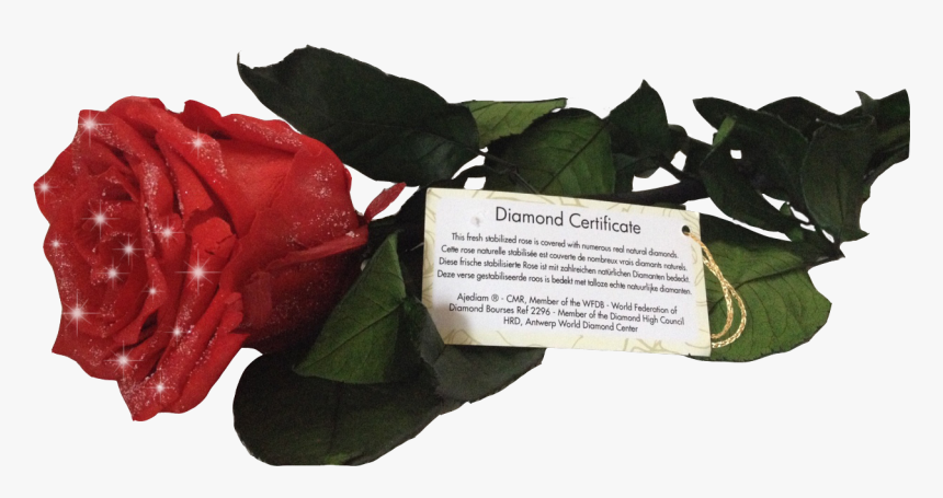 Diamond Rose Certificate, HD Png Download