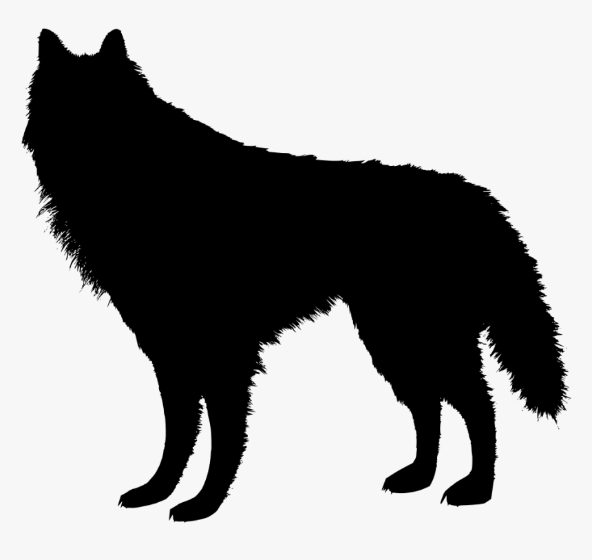 Transparent Background Wolf Clipart, HD Png Download