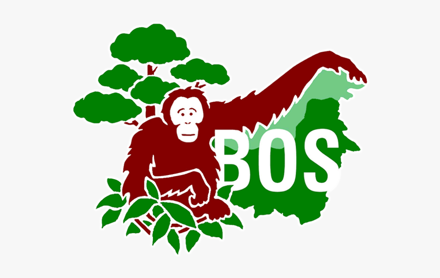 Borneo Orangutan Survival Foundation, HD Png Download