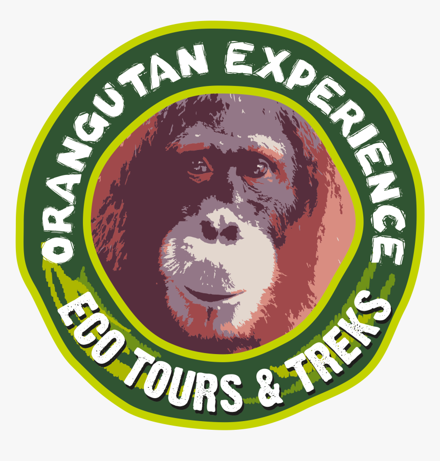 Winnipeg Jets New, HD Png Download